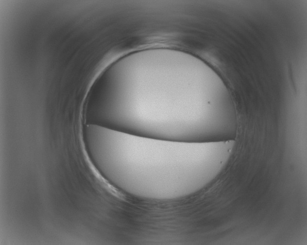 X0000051911431200506241051