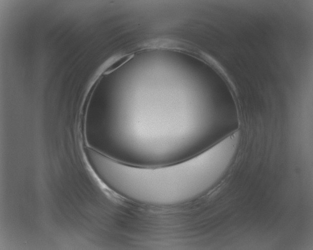 X0000051911434200506241051