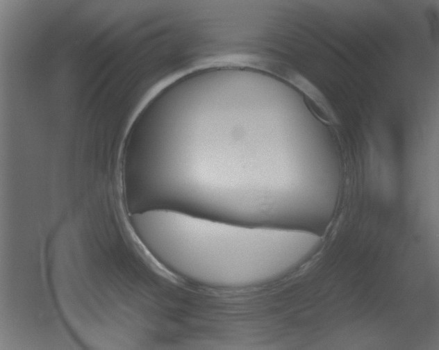 X0000051911436200506241051