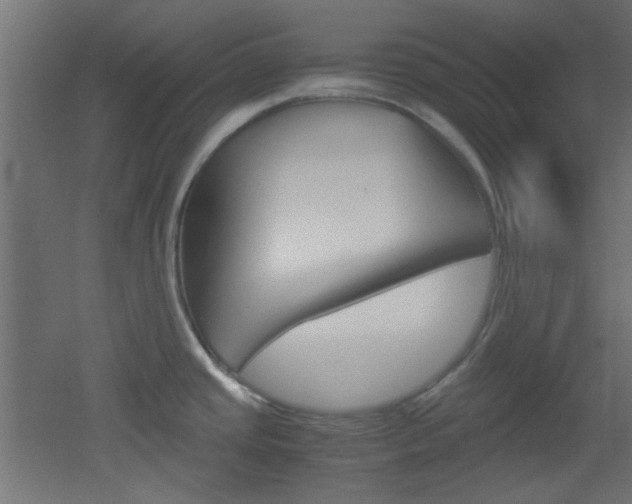 X0000051911437200506241051