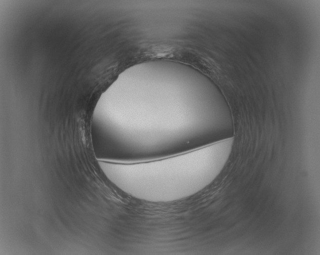 X0000051911442200506241051