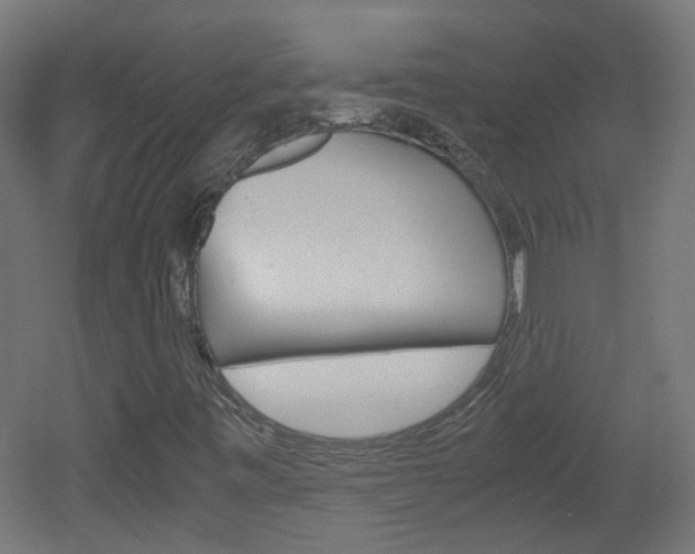 X0000051911443200506241051