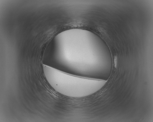 X0000051911444200506241051