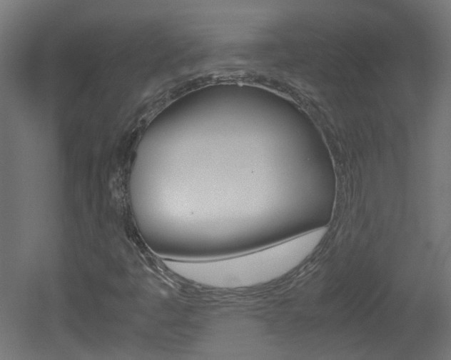 X0000051911445200506241051