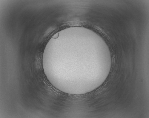 X0000051911446200506241051