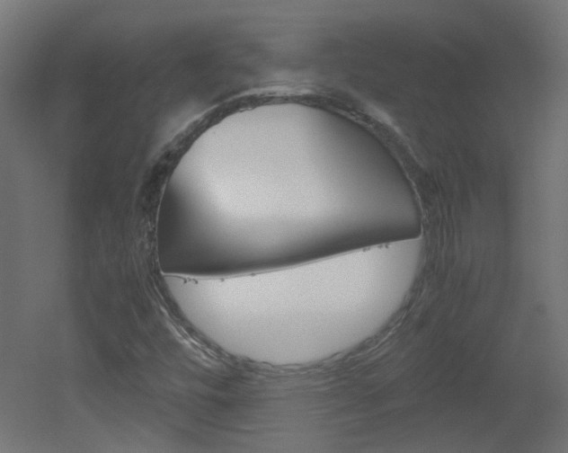 X0000051911448200506241051
