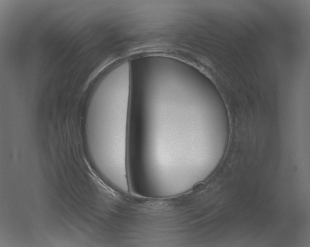 X0000051911450200506241051