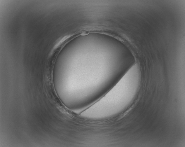 X0000051911453200506241051