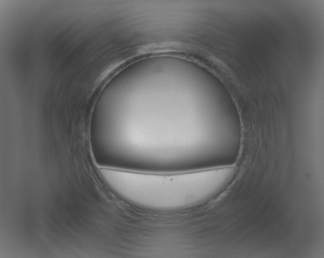 X0000051911457200506241050