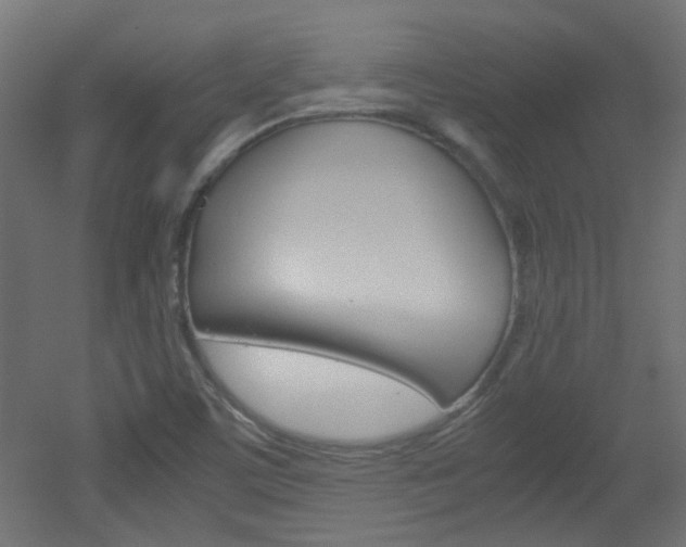 X0000051911459200506241050