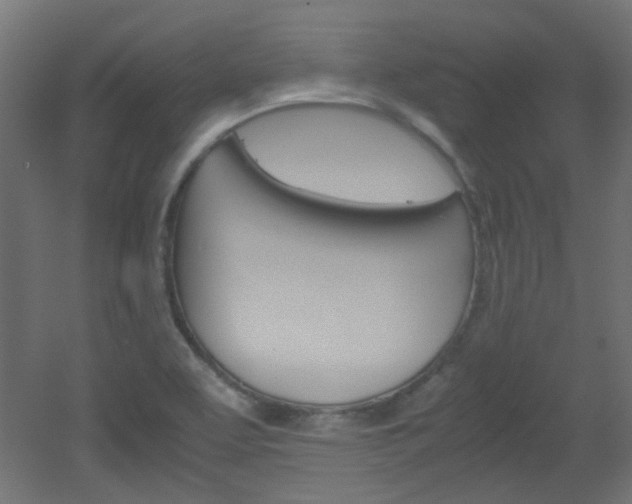 X0000051911463200506241050