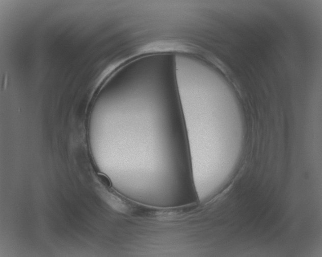 X0000051911465200506241050