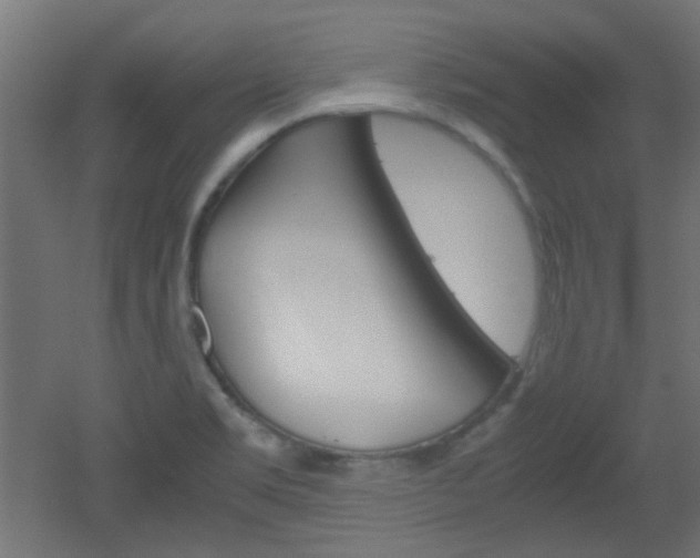 X0000051911469200506241050