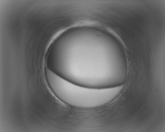 X0000051911477200506241050
