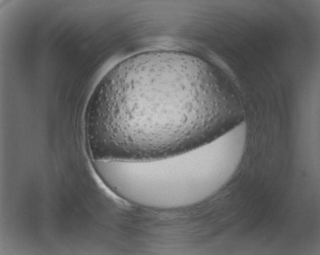 X0000051911479200506241050