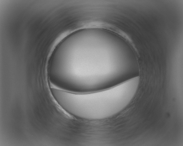 X0000051911480200506241050