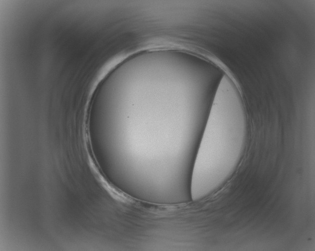 X0000051911485200506241050