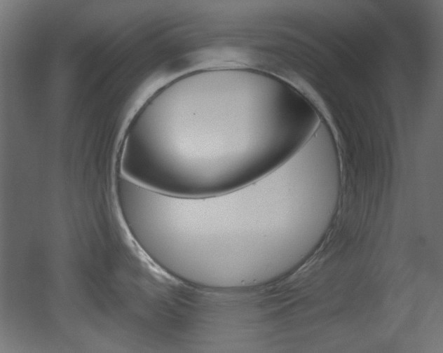 X0000051911488200506241050
