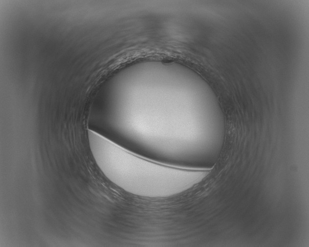 X0000051911490200506241049