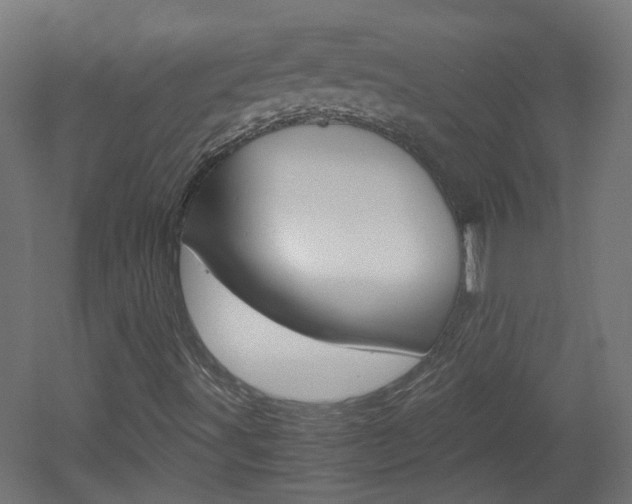 X0000051911491200506241049