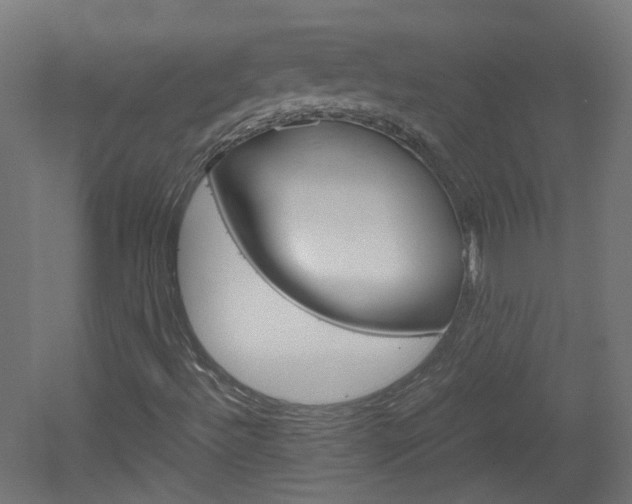 X0000051911492200506241049