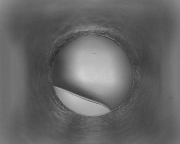 X0000051911493200506241049