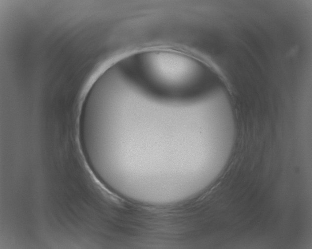 X0000051911512200506241050