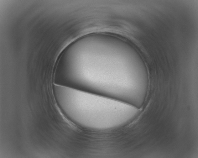 X0000051911513200506241050