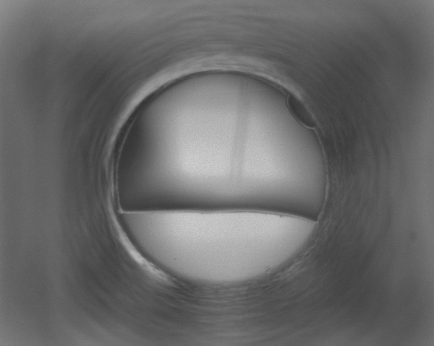 X0000051911515200506241050