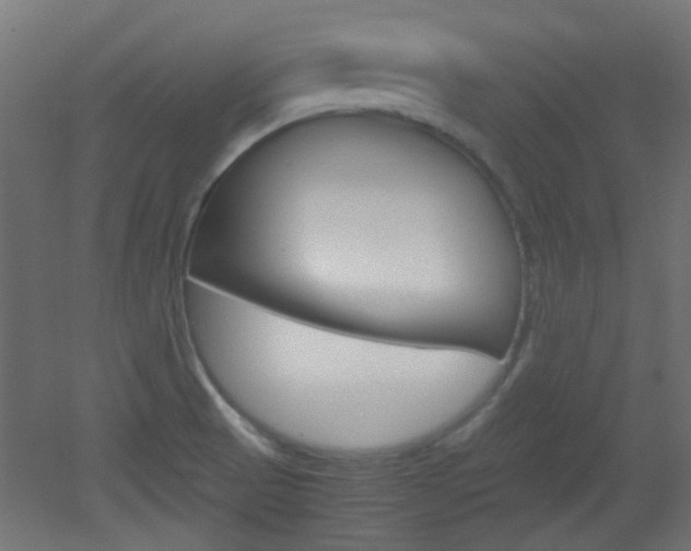 X0000051911521200506241050