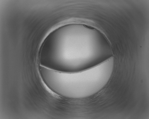 X0000051911531200506241050