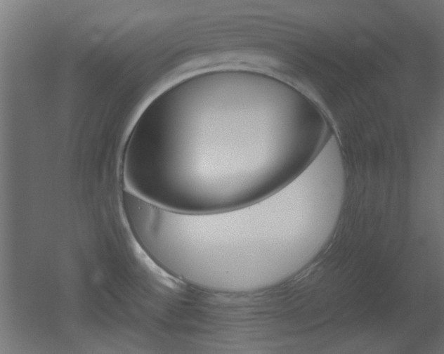 X0000051911532200506241050