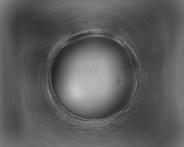 X0000051910001200506241455