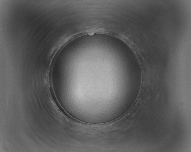 X0000051910002200506241455