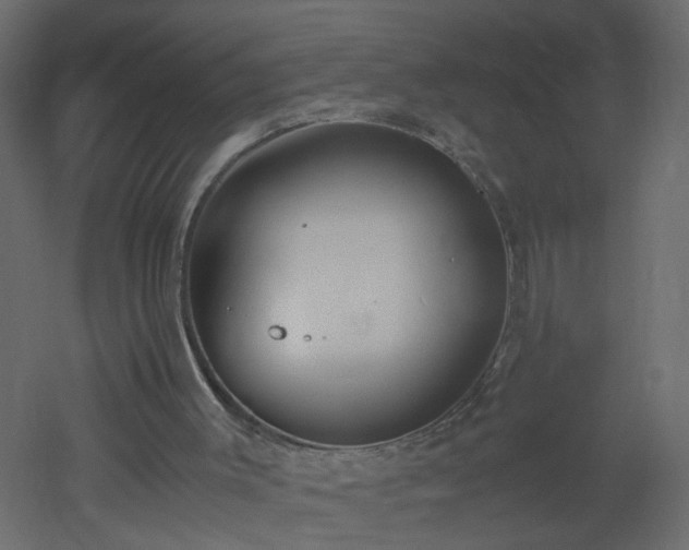 X0000051910003200506241455