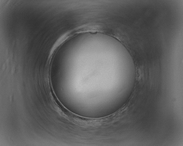 X0000051910004200506241455