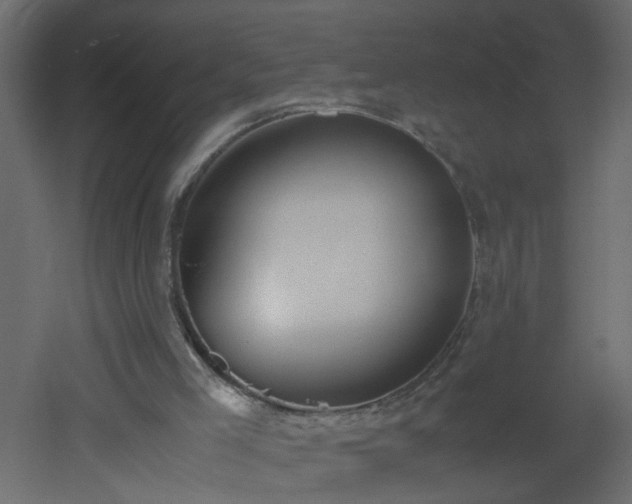 X0000051910005200506241455