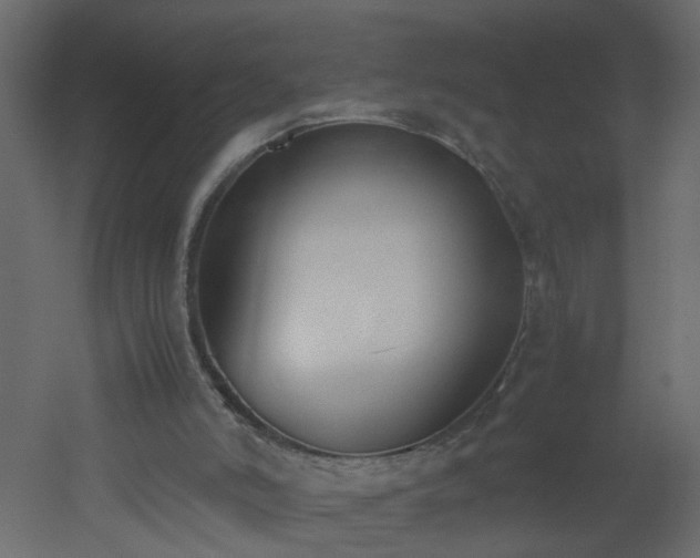 X0000051910006200506241455