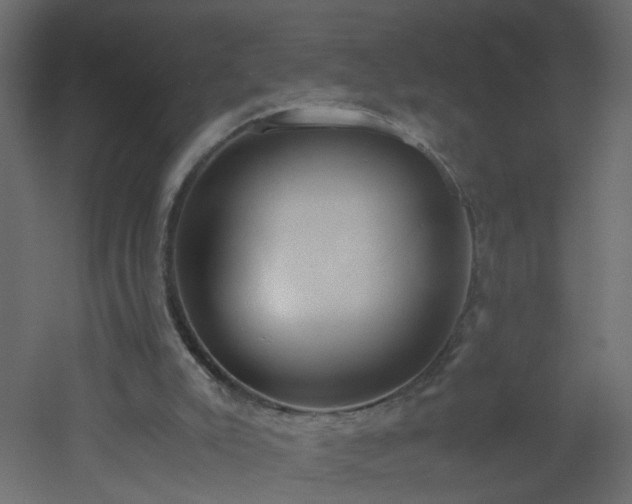 X0000051910007200506241455