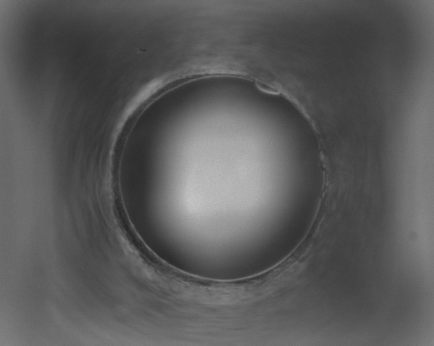 X0000051910008200506241455