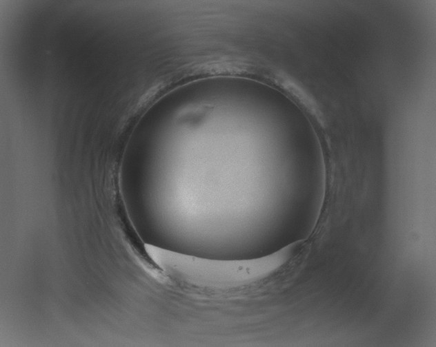 X0000051910009200506241455