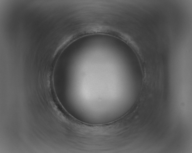 X0000051910010200506241455