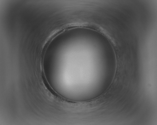 X0000051910011200506241455