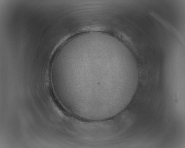 X0000051910012200506241455