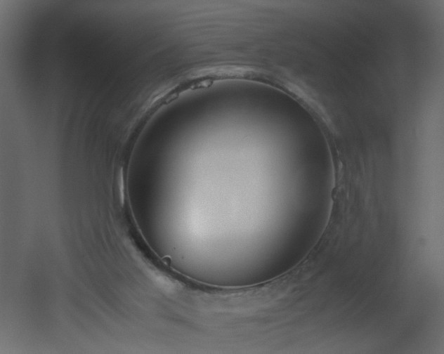 X0000051910013200506241455