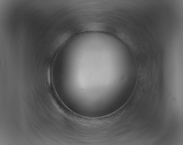 X0000051910014200506241455