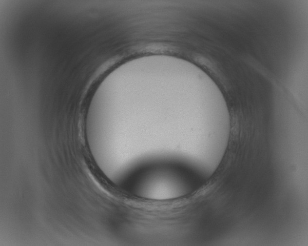 X0000051910016200506241455