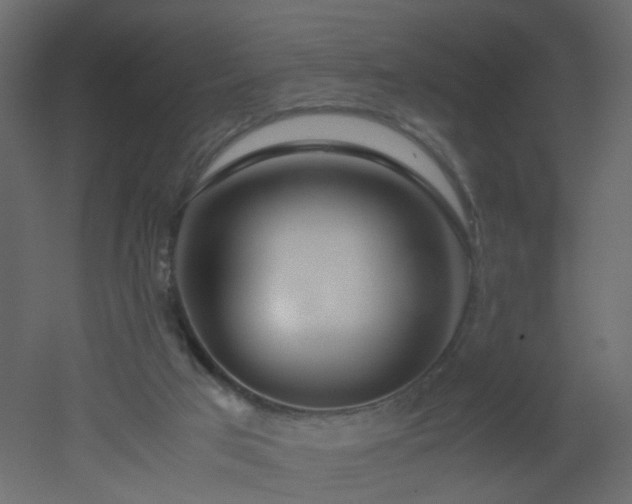 X0000051910017200506241455