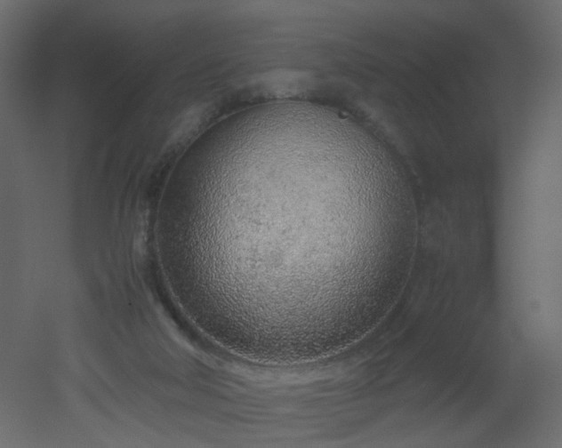 X0000051910018200506241455