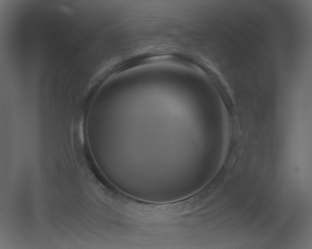 X0000051910019200506241455